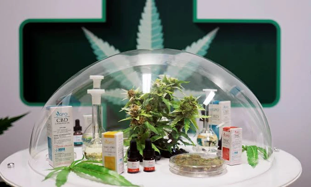 Medical Product Quality Defining Premium Medical Cannabis In Bangkok Options